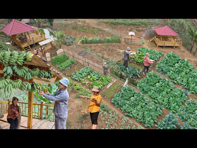 The couple's daily life in the mountains,harvesting, catching fish and cooking. Green forest life