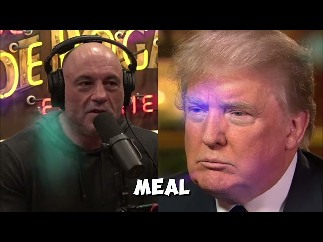 Joe Rogan Interviews Donald Trump 6