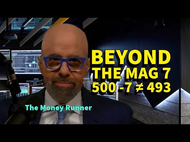 Beyond the MAG 7 - Why Piling Into the Other 493 Won't Help