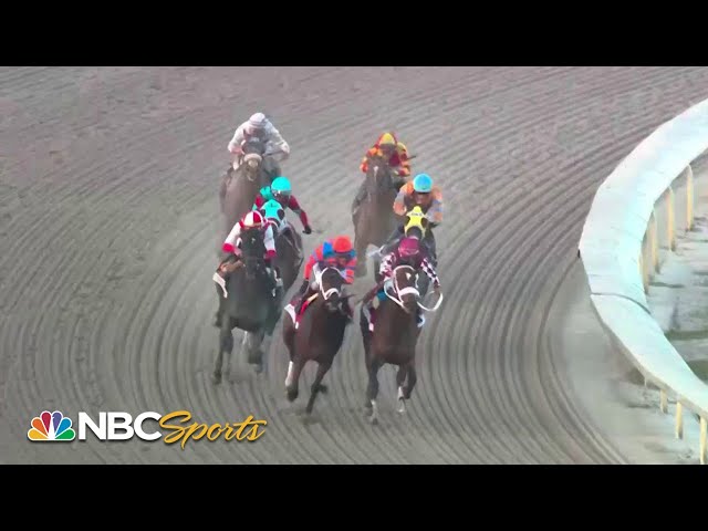 The Holy Bull Stakes 2024 (FULL RACE) | NBC Sports