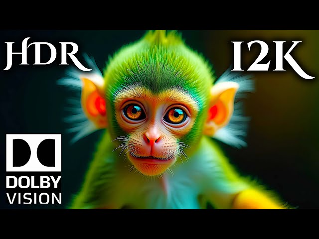 12K Animal Portraits: 12K VIDEO ULTRA HD #12K #ANIMAL