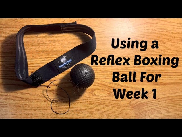 Using a Reflex Boxing Ball For Week 1