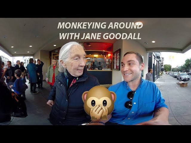 MONKEYING AROUND WITH JANE GOODALL (360° VR)