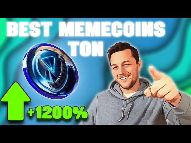 Meme Coins To Buy Now | Legit Meme Coins To Make Money With | TSE