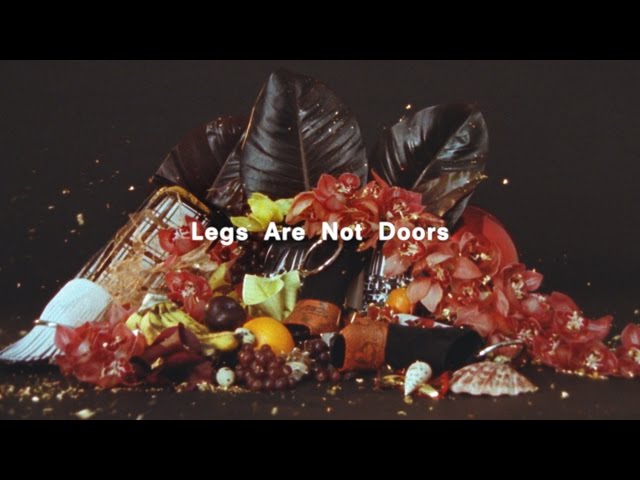 Legs Are Not Doors