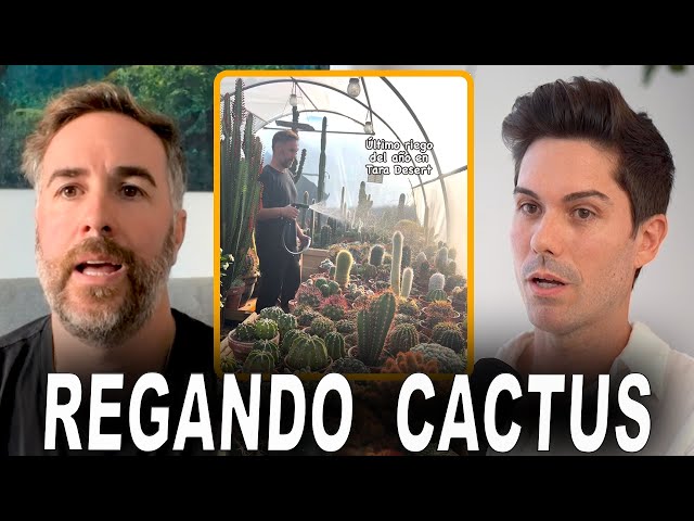 Cómo REGAR CACTUS en casa "por tara_deser"