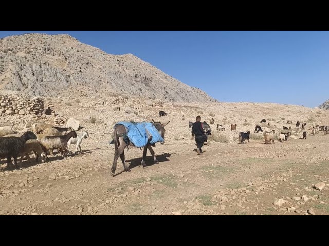 Autumn migration, the last days in Yalaq and the beginning of the new season in Qashlaq