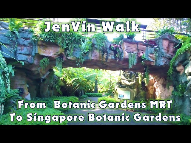 [4K] Walking from Botanic Gardens MRT to Singapore Botanic Gardens