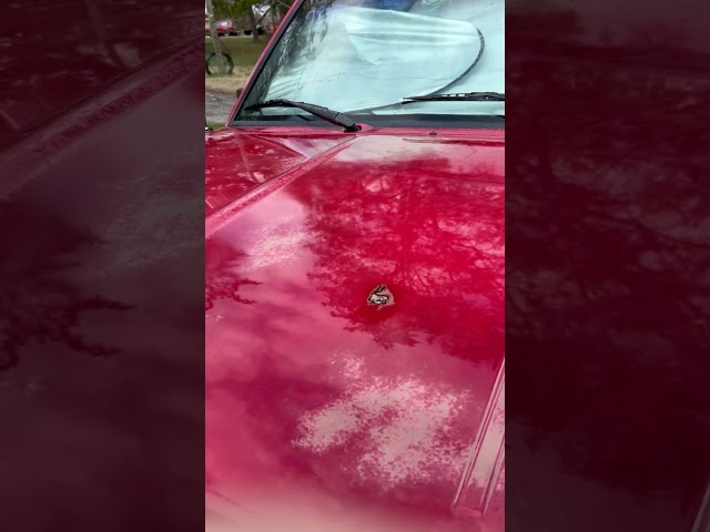 Washing little red! #truckwash #ford #fordranger