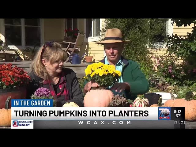 In the Garden: Pumpkin planters