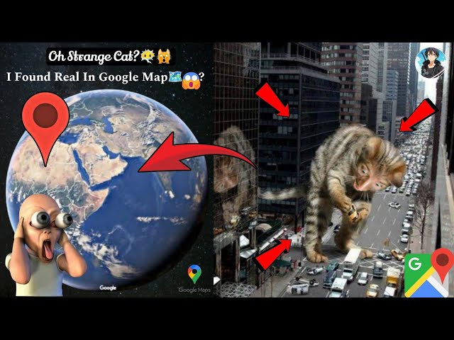 🙀😰I Found Strange Cats In Google Map🗺️? #trending #viralvideo #map #scary #map #datadefender4u