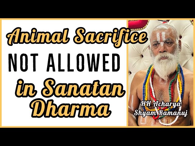 Animal sacrifice is not allowed in Sanatan Dharma | Part 137