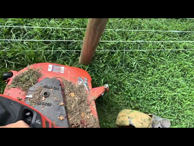 Redefining Ranch Beauty: Lawn Mowing Around Cameo Fencing