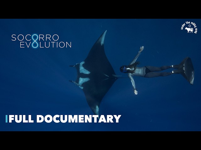 Socorro Evolution |🌎Nature |🤿Ocean | Full Documentary