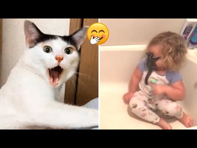 Funniest Cats And Dogs | Best Funny Animal Videos 🤣😂#10