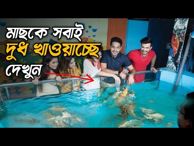 কক্সবাজারে এখানে ঘুরতে এসে সবাই মাছকে দুধ খাওয়ায় | Radiant fish world Cox's Bazar