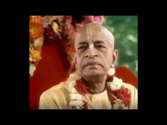 Vedic economic system🌳🐄 ~ Srila Prabhupada views | Dhanena Dhanvan