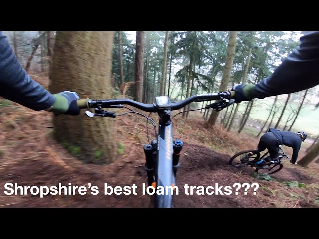 Shropshire's best loam tracks?