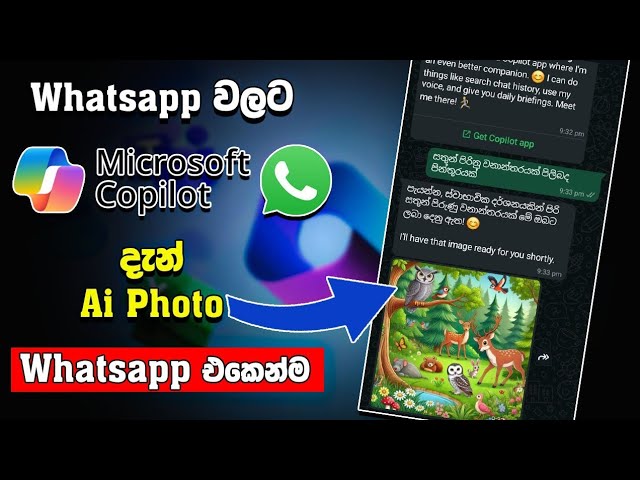 වට්සැප් එකෙන් Ai photo හදමුද😳 | Microsoft copilot whatsapp | copilot sinhala