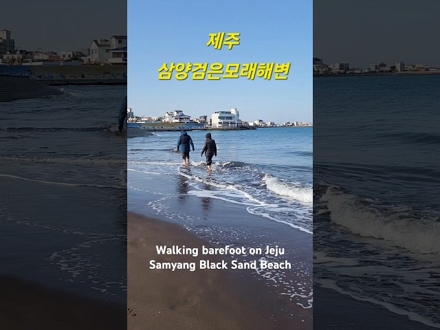 #제주#삼양검은모래해변#맨발걷기#Jeju #SamyangBlackSand Beach #Walking Barefoot