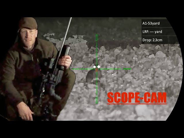 Rabbit Hunting at Night | Night-vision | Infrared | Scope-cam