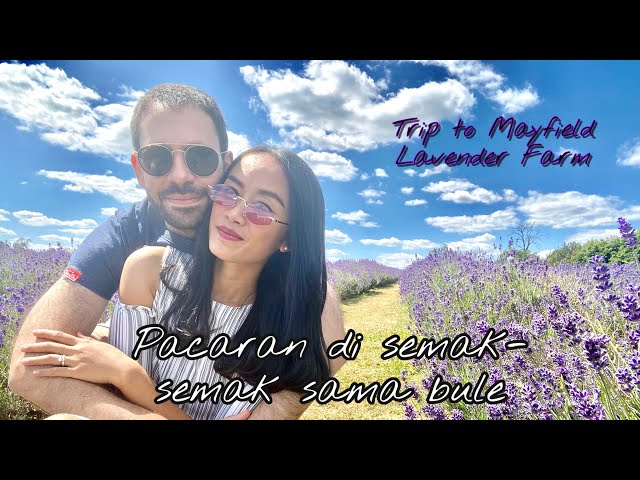 TRIP TO MAYFIELD LAVENDER FARM FROM VICTORIA STATION [TOURIST ATTRACTION IN LONDON] UNITED KINGDOM