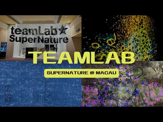 Macau | teamLab SuperNature 2024 Macau: Full Immersive Experience at Venetian Macau