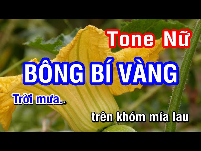 Bông Bí Vàng (Karaoke Beat) - Tone Nữ | Nhan KTV