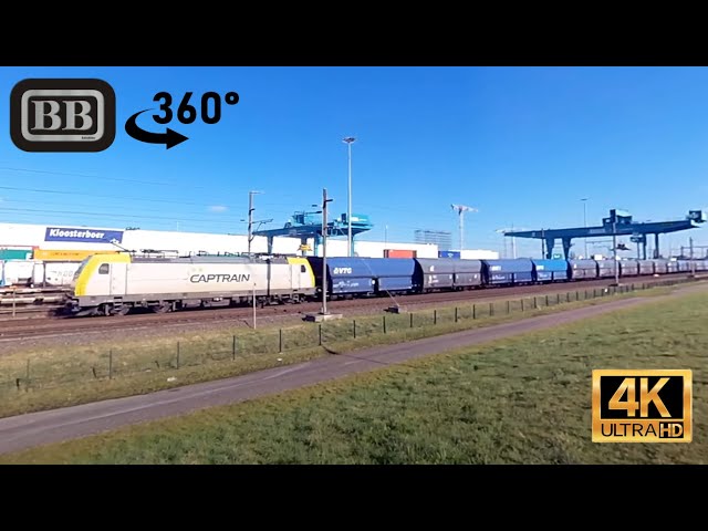 Several freight trains to / from the port of Rotterdam filmed from embankment (360°-video)