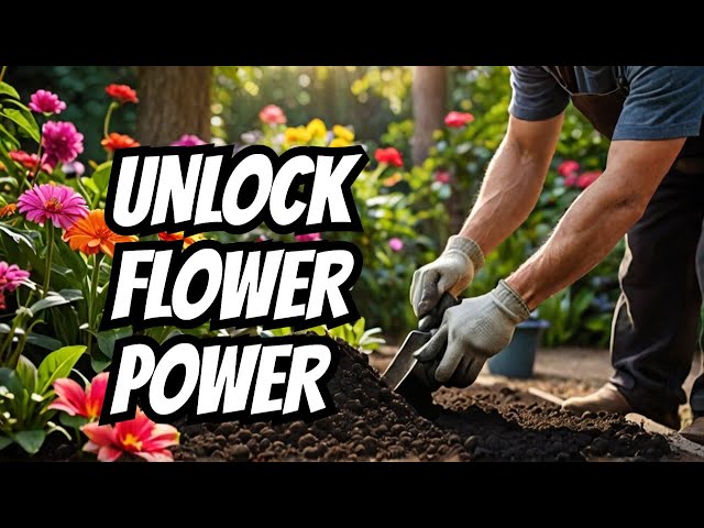 Nourishing Soil Is KEY To Healthy And LONG-LASTING Flower Growth