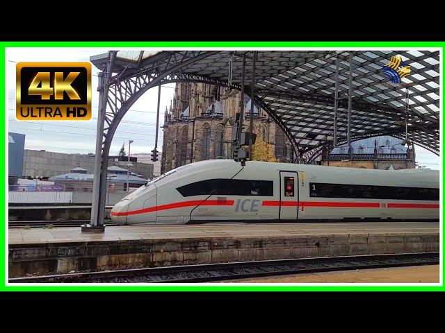 Central Station: The best Trains from Cologne Main Station 4k live #viralvideo #train #travel