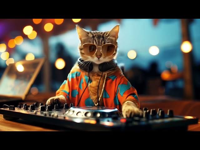 DJ Miaww - House Party Essentials 2025 – Best Party Music to Keep You Dancing All Night 🎉🎶