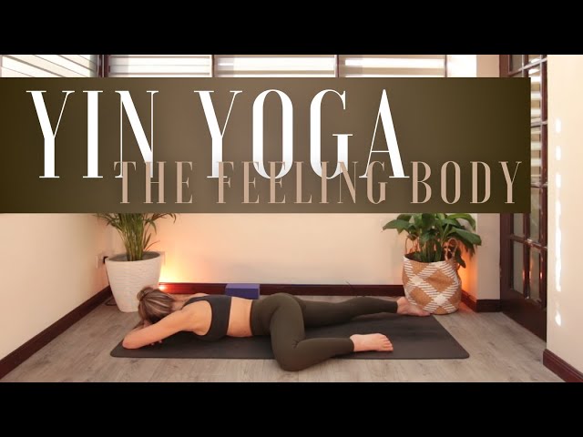 Yin Yoga Full Body Somatic Practice