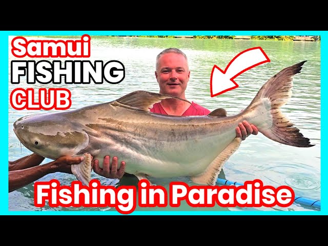 BIG fish fishing in PARADISE - Samui Fishing Club 3/3 #fishing #thailand #fish #video