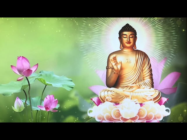 Nhạc niệm Phật ( Nam mô a di đà phật) k lời .  🙏 🙏 🙏 51