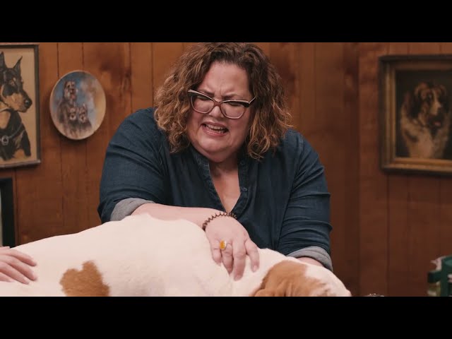 For the Love of Dog Miniseries | Episode 5