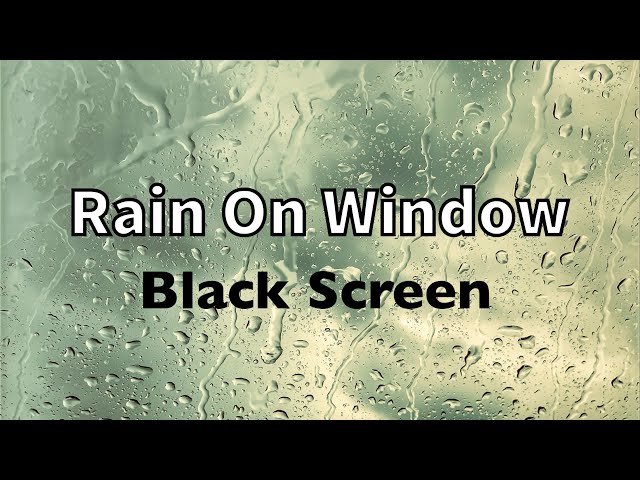 Fall Asleep to Soothing Rain on Car Window | No Thunder, Black Screen