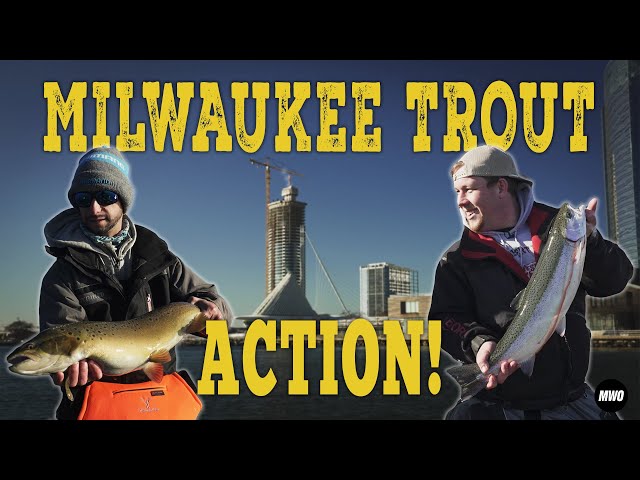 How to catch MONSTER Trout in the Milwaukee Harbor