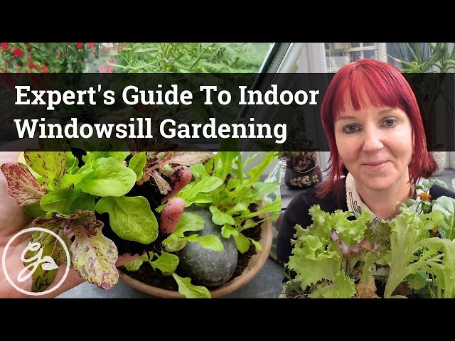 An Expert's Guide To Indoor Windowsill Gardening / Grow Fresh Veggies And Herbs All Year Round!