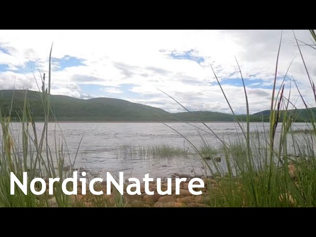 Lapland, Norway: the Tana River 360, Finnmark, northernmost part of continental Europe, 69° N