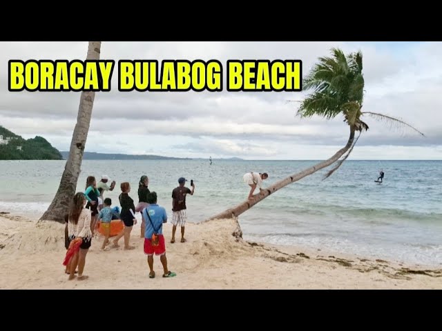 Boracay Bulabog Beach and Trending Slide Coconut Tree || by: Rene Cosido