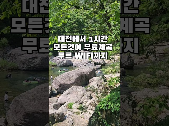 대전에서 1시간 WIFI도 되는 무료계곡 / 사람들 없어서 더 좋아요  #shorts