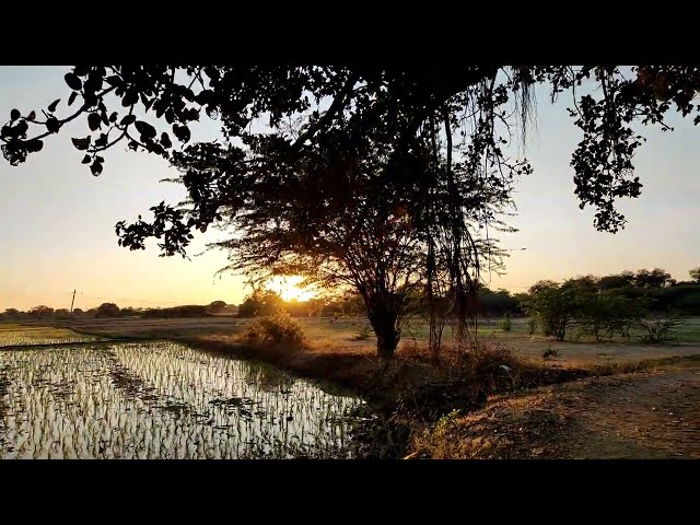 Telugu village lifestyle vlogs 😍 || Village life | వారి చెను