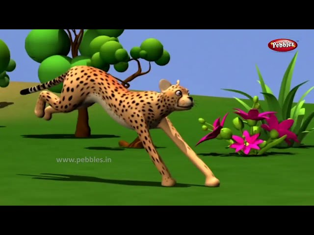 New Marathi Songs | Animal Songs in Marathi | Animal Rhymes in Marathi | Pebbles Live