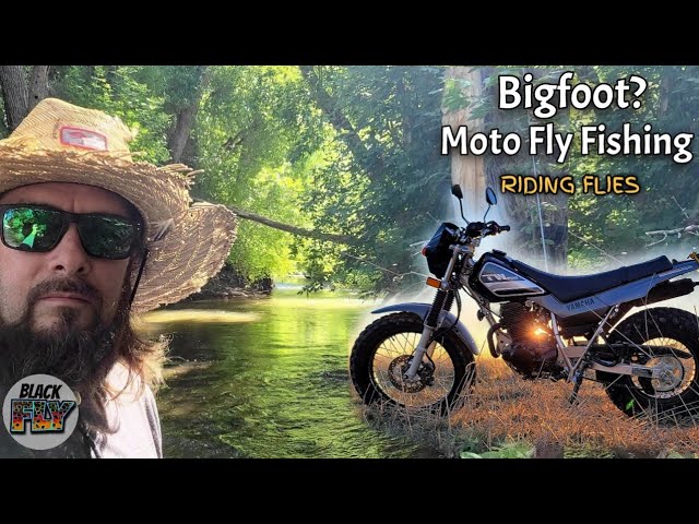 Bigfoot? Moto fly fishing to secret mountain creek (Riding Flies) TW200 adventure exploring nature