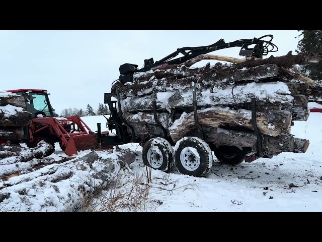 Day one moving logs in the shop with my wallenstein log trailer￼ to heat house for a month or so.