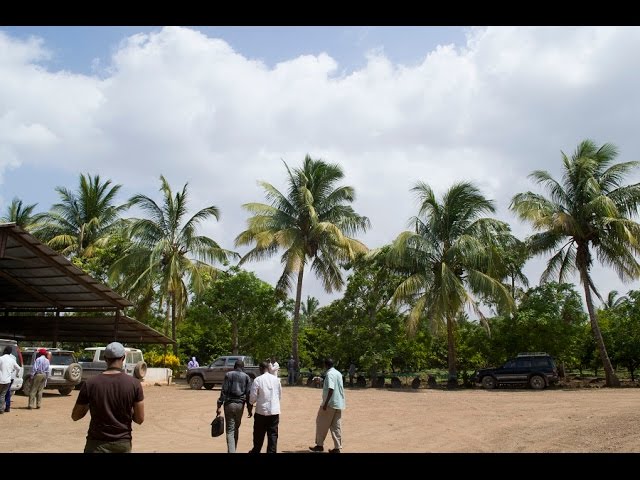 Hope for the future (Agriculture in Somalia) | Mao Marketing Productions[HD]