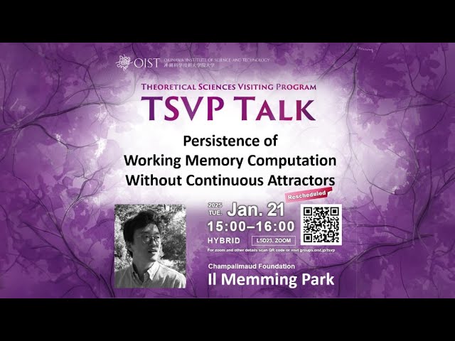 IL Memming Park: Persistence of Working Memory Computation Without Continuous Attractors (TSVP talk)