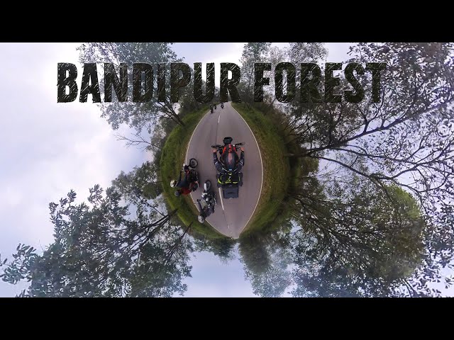 Thrilling Bandipur National Forest Adventure || Insta360 X3 || Yezdi Adventure