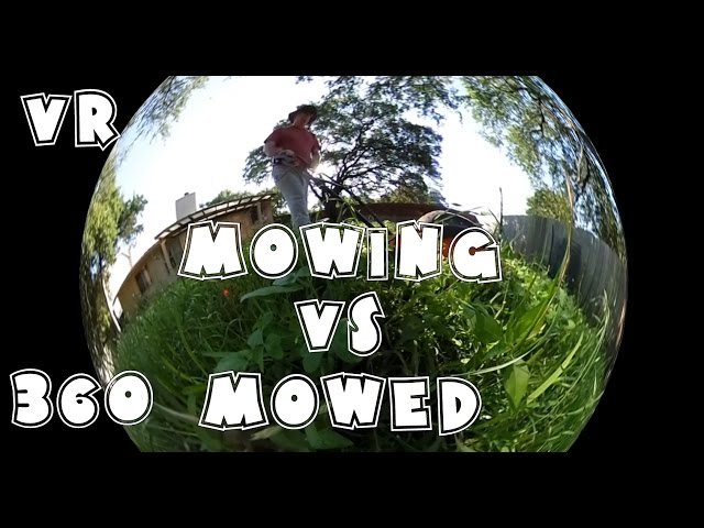 Mowing vs Mowed in 360 VR | ParrisTX